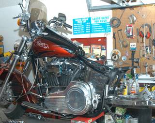 Rogueinwheelgond