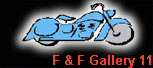 F & F Gallery 11