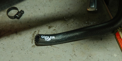 Hose